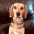 Todd Corwin's profile image