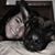 Suzie Speedy's profile image