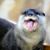 Holly Grigg's profile image