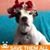 Cynthia Garcia's profile image
