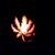 Jesse Applegate's profile image