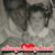 Debbie James McDonald's profile image