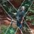 James Michael Stone's profile image