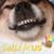 Jeri Adams's profile image
