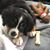 Mary Ann Everett's profile image