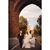 Kim Synott's profile image