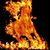 Kay Anne Travis's profile image