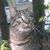 Stanley Pitkin's profile image