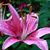 Kate Somers's profile image