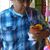 Carlos Alvarado's profile image