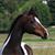 Julia Allen's profile image