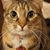 Nadya Aldochine's profile image