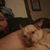 Linda Lewis's profile image