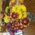 Dolores J Scribner's profile image