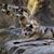 Ben Burcham's profile image