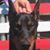 Shane A. McBride's profile image