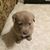 Kathy Altomare's profile image