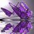 Wendy Danner Fields's profile image