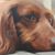 Kathy Schulze Sloan's profile image