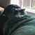 Rebecca Schauer Stewart's profile image