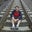 David Meyer's profile image