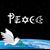 Susan L Hill Miller's profile image