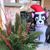 Jeanne Bemis Floreani's profile image