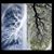 Carolyn Jason Byers's profile image