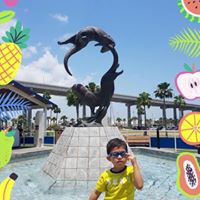 Daniel Richardson's profile image