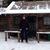 Steve Perkins's profile image