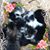 Mary Baker Houghtby's profile image