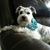Selva Cavazos's profile image