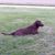 Richey Leamer's profile image
