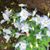 Harriette Carr's profile image