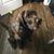 Linda Swingle review for Fantastic Sams