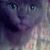 Rodan Anca's profile image