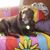 Anita Hynes's profile image