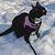 Leann Casey's profile image