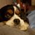 Andrew Zaleski's profile image