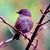 Rebecca Eacker's profile image