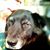 John-Magdalene Agel's profile image