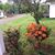 Sue Carol Nichols's profile image