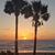 Teata Newberry Bonfiglio's profile image