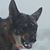 Betty Riley's profile image