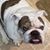 Pat Cavanaugh's profile image