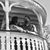 Tessa Pozzi's profile image
