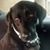 Nicole Fortner-Baldwin's profile image