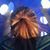 Eb Elizon's profile image