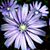 Michele Noble's profile image