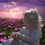 Ramona Ann McCane's profile image